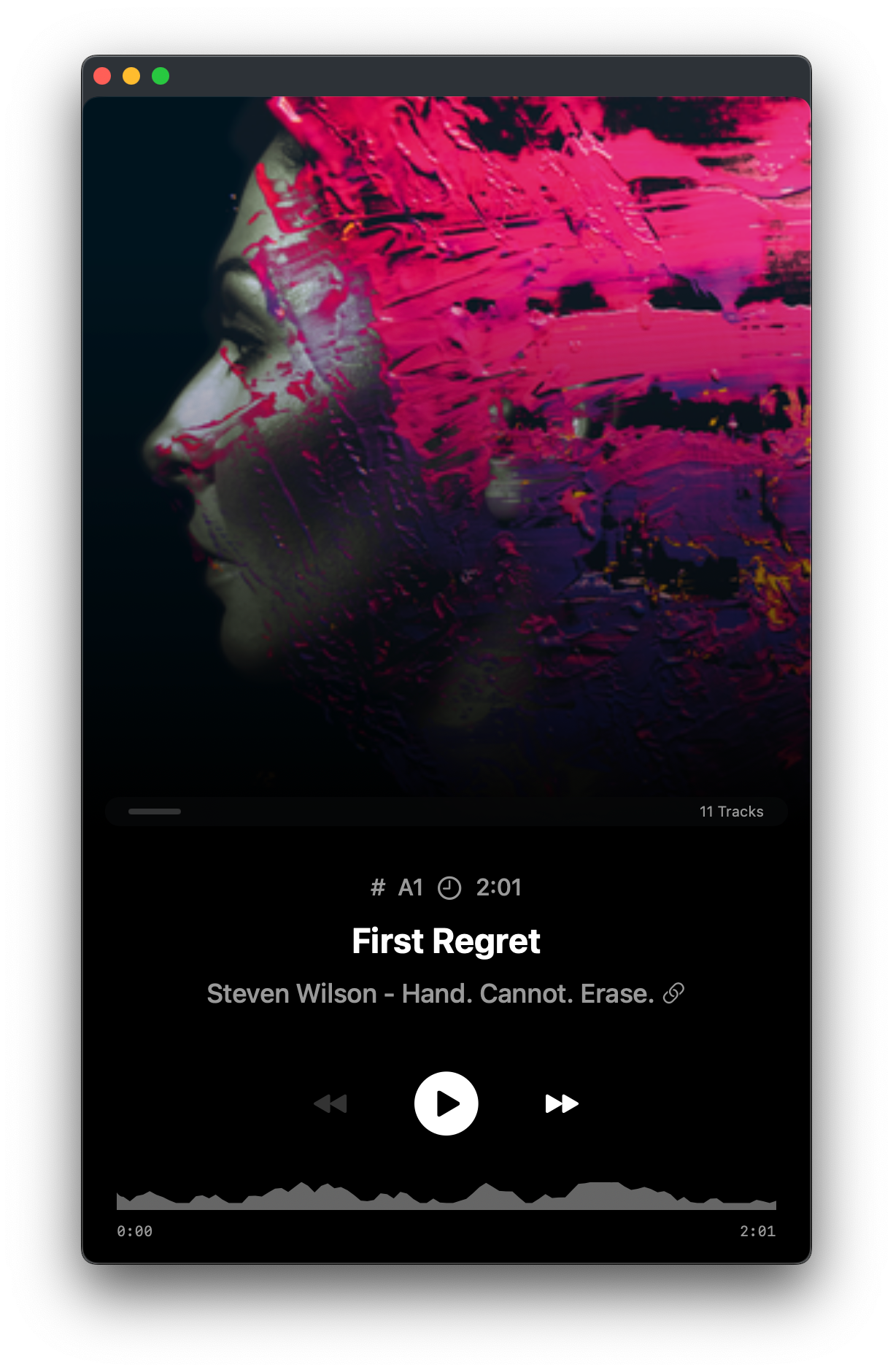 Player View